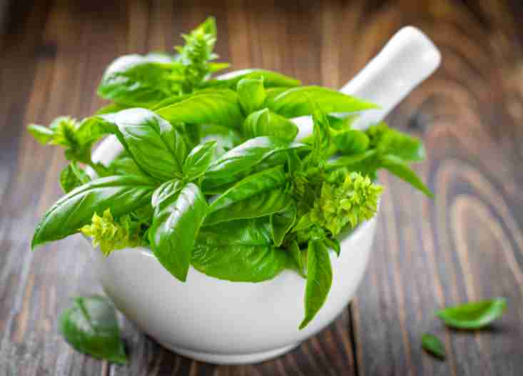 Mortar and pestle full of basil leaves