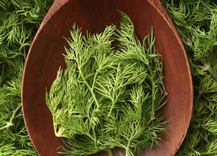 Spoonful of dill