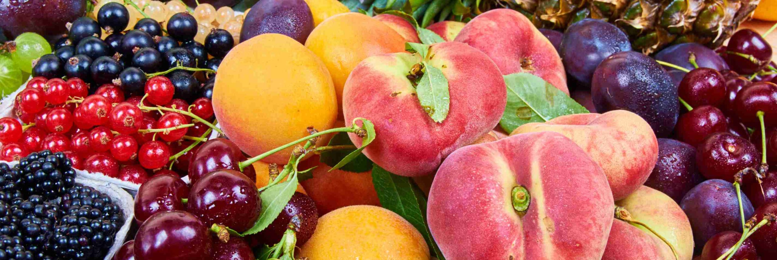 Assortment of fruits