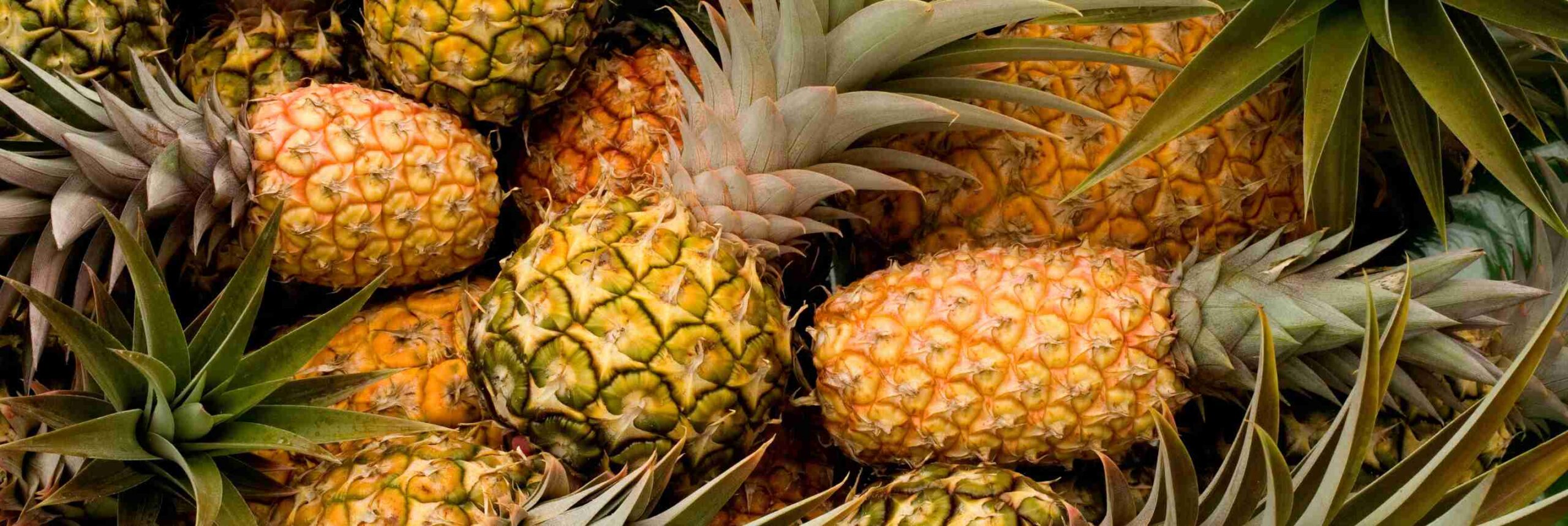 Crate full of pineapples