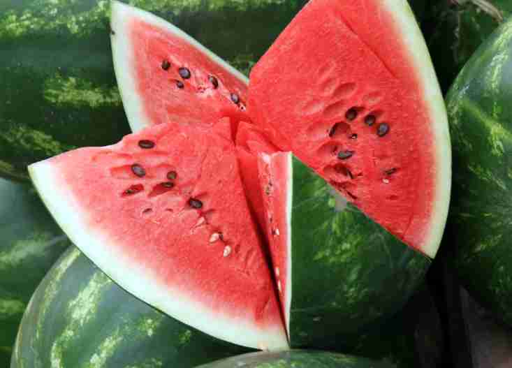 Watermelon slices
